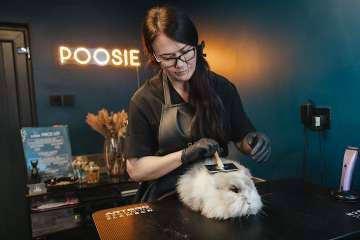 Poosie Limited - independent business in NE11